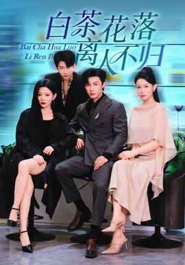 白茶花落离人(全集)