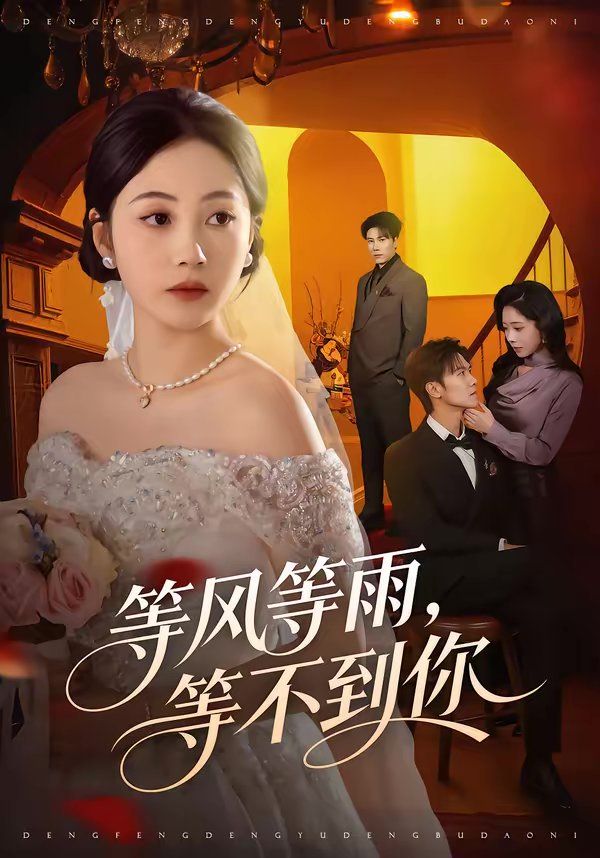 等风等雨，等不到你(全集)